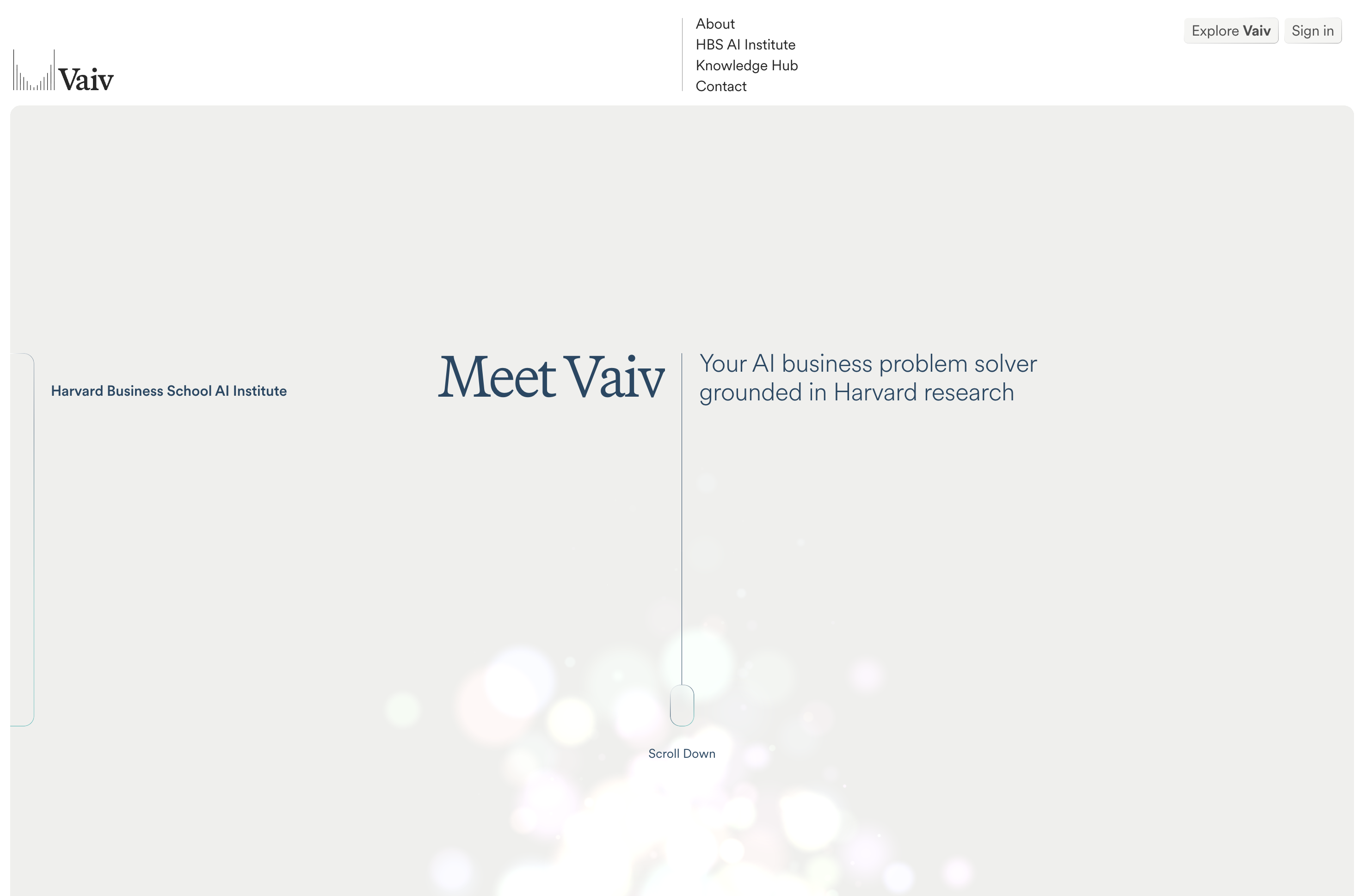 Vaiv — AI business problem solver